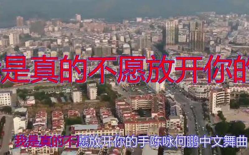 不愿放开你的手-我是真的不愿放开你的手