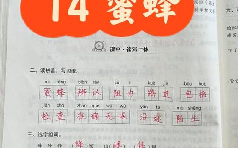 关于蜜蜂的知识有哪些(关于蜜蜂的知识有哪些三年级下册基础训练)