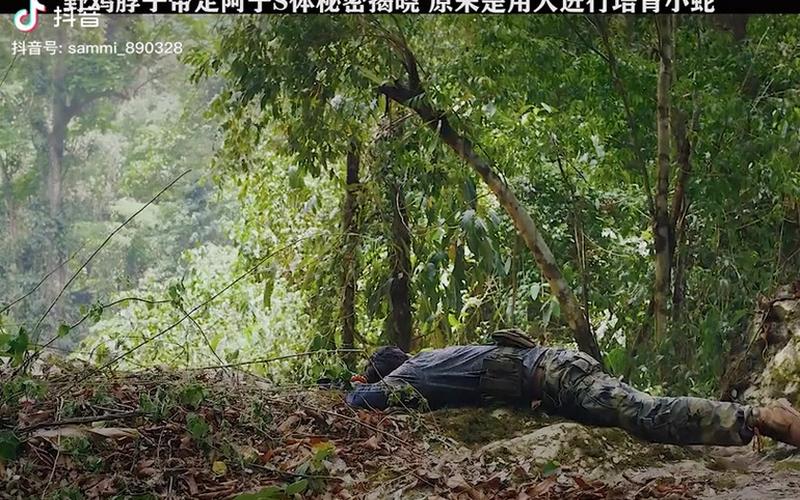 阿寧為什么要當人蛇;阿寧7年前就死了 為什么要當人蛇