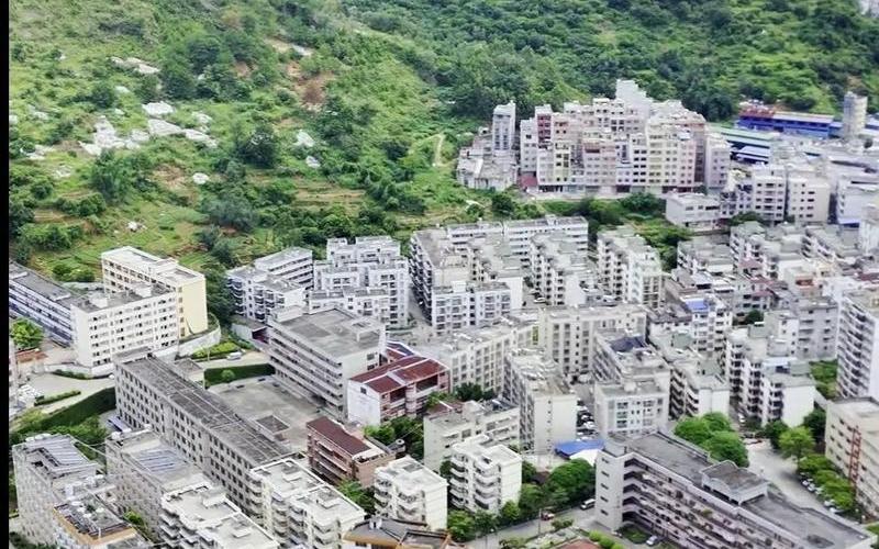 岑溪二中贴吧-岑溪二中贴吧官网