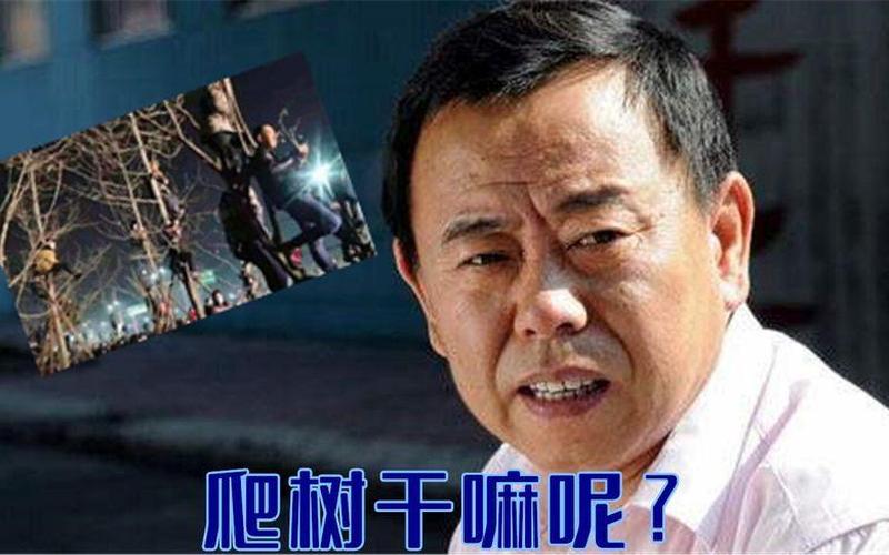 觀眾為了看潘長江演出爬上樹(觀眾為了看潘長江演出爬上樹的電影)