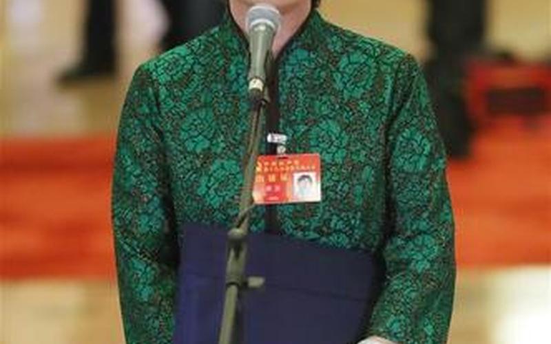 二十大场党代表通道(二十大党代表通道场采访)