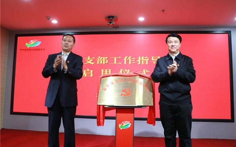 党的总支部委员会和支部委员会设_党的总支部委员会和支部委员会设副书记