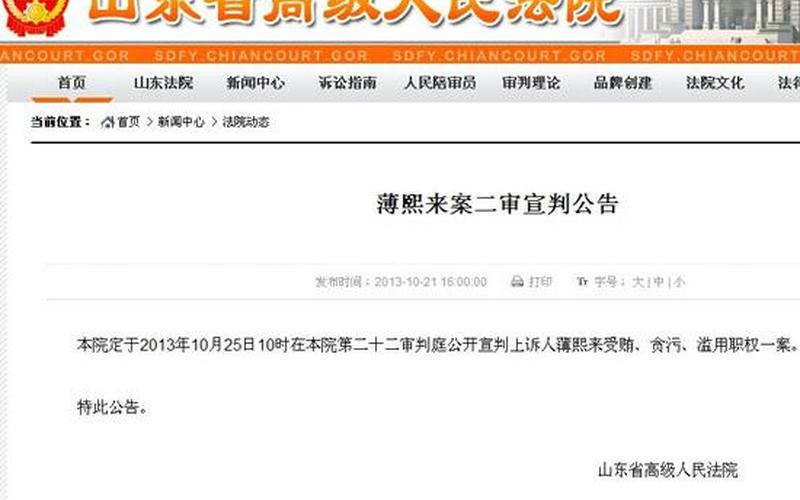 关于 *** 严重违纪案的审查报告