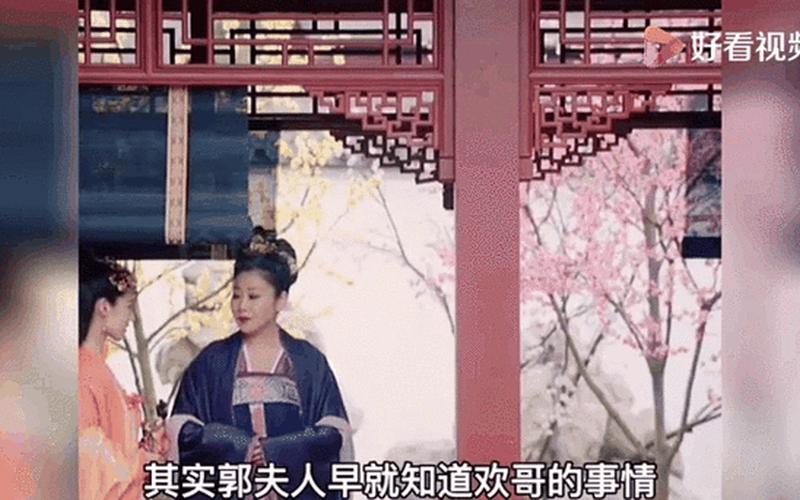 郭夫人落難-郭夫人落難記番外篇劇情簡介