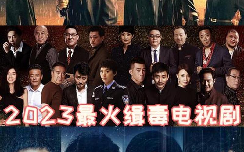 电视剧-2024最火缉毒电视剧