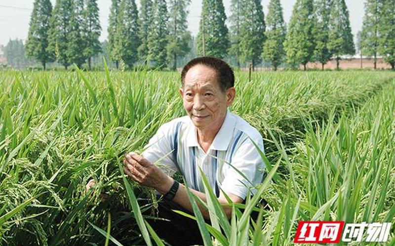 哀隆平去世_哀隆平是否逝世