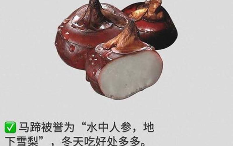 荸荠的功效与作用及禁忌(梨和荸荠的功效与作用及禁忌)