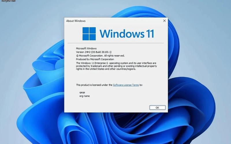 win2003 序列号(win2003 enterprise序列号)-第1张图片-铖浩科技