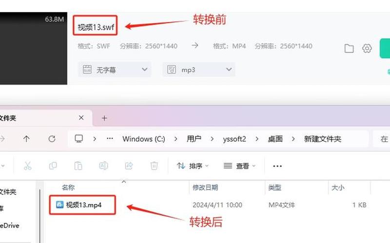 swf文件怎么打开(swf文件怎么打开转MP4)-第1张图片-铖浩科技