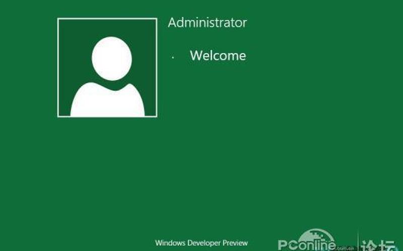 windows8汉化包(windows汉化版)-第1张图片-铖浩科技