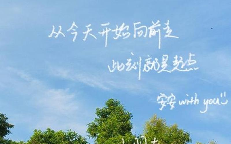 手机开心网(手机开心网快速登录)