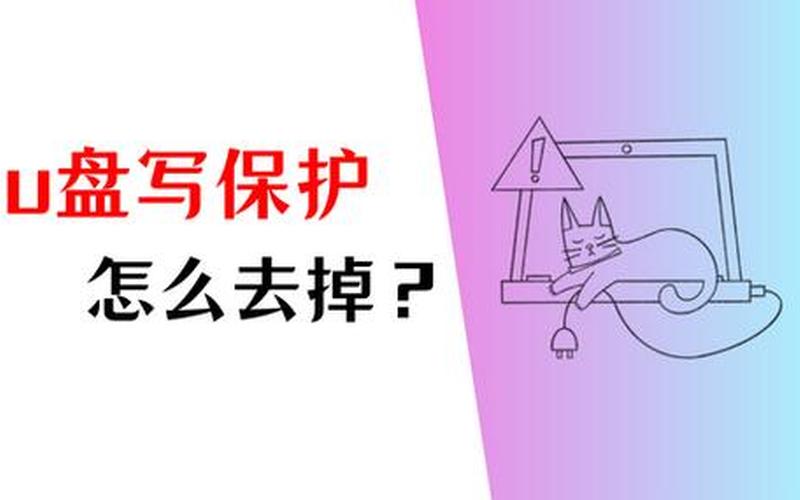 写保护错误(写保护错误是什么)-第1张图片-铖浩科技