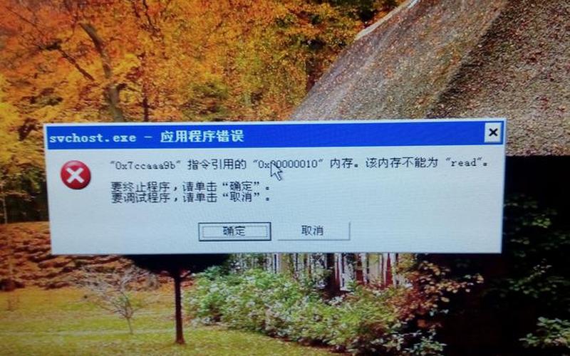 应用程序错误 该内存不能为read(werfaultexe应用程序错误 该内存不能为read)-第1张图片-铖浩科技