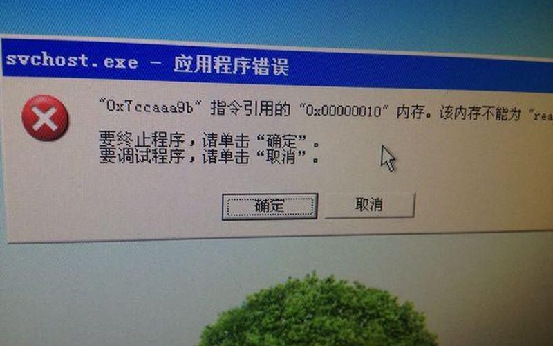 svchost.exe应用程序错误(电脑svchost应用程序错误)-第1张图片-铖浩科技