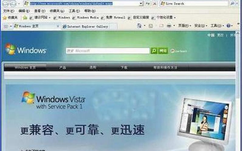 怎么看ie版本(怎么看ie版本是多少位)-第1张图片-铖浩科技