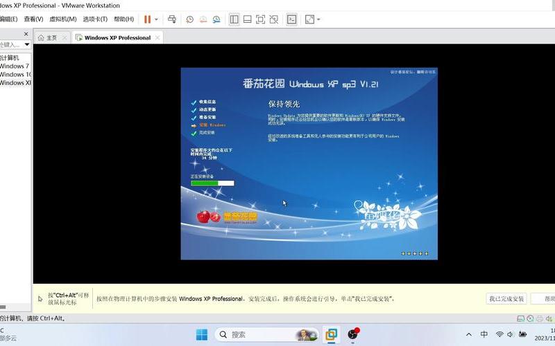 番茄花园windows xp(番茄花园windows xp你见过吗？)-第1张图片-铖浩科技