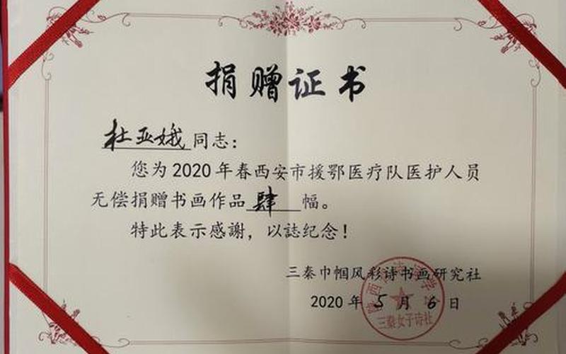 杏雨梨云u盘系统2011(杏雨梨云启动维护系统2020庚子版)-第1张图片-铖浩科技