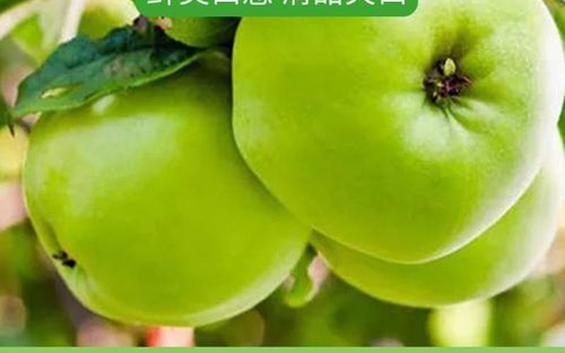 青苹果系统下载(青苹果系统官网)-第1张图片-铖浩科技