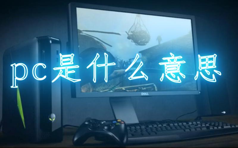 pc是什么意思(pc是什么意思医学)-第1张图片-铖浩科技
