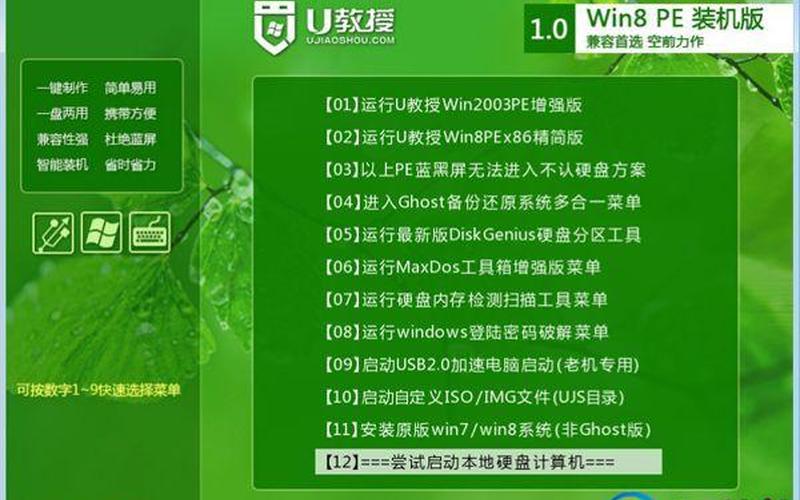 pe系统下载(pe启动盘下载)-第1张图片-铖浩科技