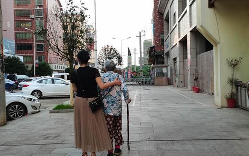 背影家园(背影家园日志图片)-第1张图片-铖浩科技