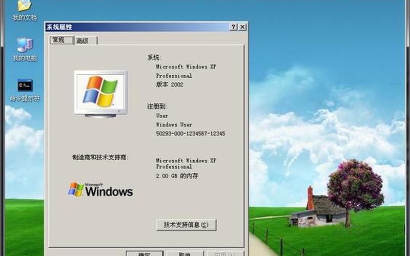 2013xp纯净版系统下载(xp系统2020纯净版)-第1张图片-铖浩科技