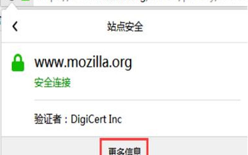 firefox 7(Firefox 78 flash 黑屏)-第1张图片-铖浩科技