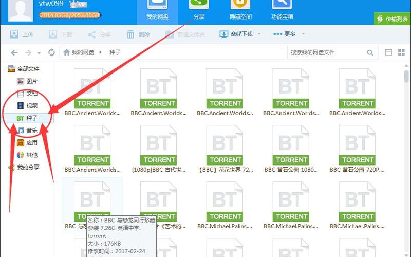bt种子怎么下载(bt种子怎么下载 ios)-第1张图片-铖浩科技