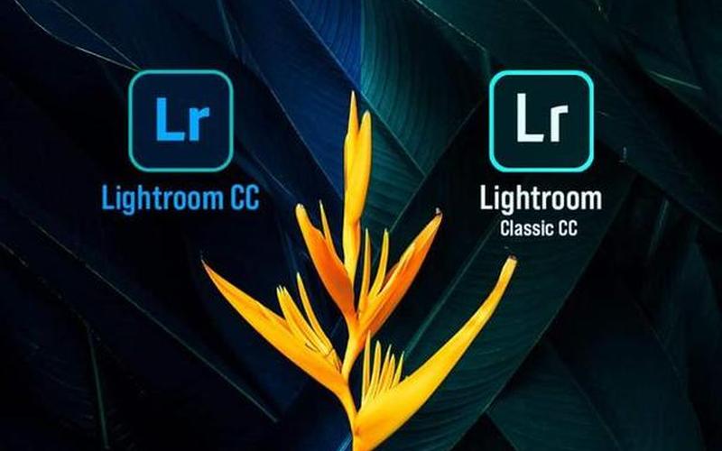 lightroom预设(Lightroom预设导入)-第1张图片-铖浩科技