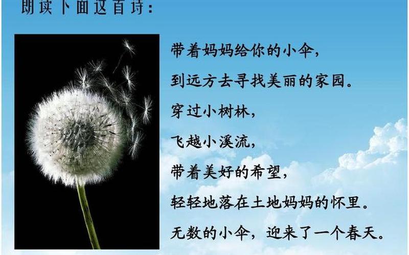 蒲公英系统(蒲公英系统用来干嘛？)-第1张图片-铖浩科技