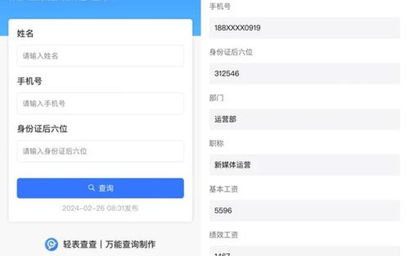 工资查询系统(个人工资查询系统)-第1张图片-铖浩科技