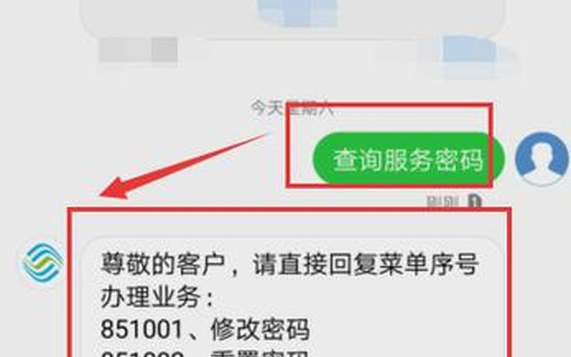 服务密码怎么查(中国电信服务密码怎么查)-第1张图片-铖浩科技